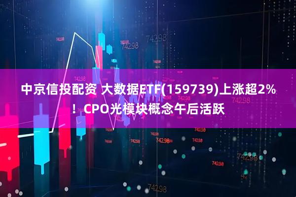中京信投配资 大数据ETF(159739)上涨超2%！CPO光模块概念午后活跃