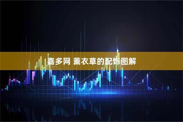 嘉多网 薰衣草的配饰图解