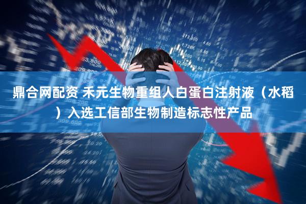 鼎合网配资 禾元生物重组人白蛋白注射液（水稻）入选工信部生物制造标志性产品