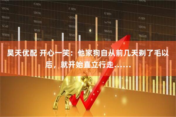 昊天优配 开心一笑：他家狗自从前几天剃了毛以后，就开始直立行走……